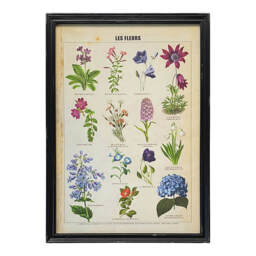 Graham and Green Framed Vintage Flowers Print
