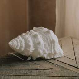 Graham and Green White Seashell Table Lamp - thumbnail 3