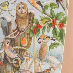 Graham and Green Birdsong Advent Calendar - thumbnail 2