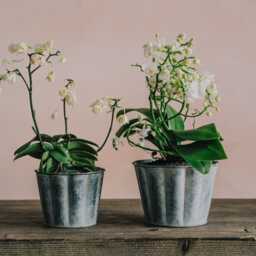 Graham and Green Set of Two Zinc Fluted Planters - thumbnail 1