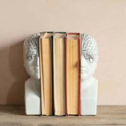 Graham and Green Antiqued Phrenology Head Bookends - thumbnail 4