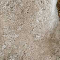 Graham and Green Eggshell Curly Sheepskin Square Cushion - thumbnail 3