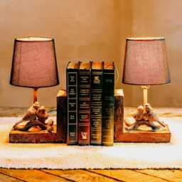 Graham and Green Set of Two Bird Bookend Table Lamps with shades - thumbnail 1