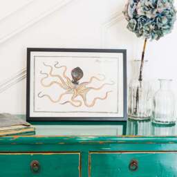 Graham and Green Small Framed Octopus Print