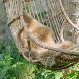 Graham and Green Rattan Swinging Chair - thumbnail 2