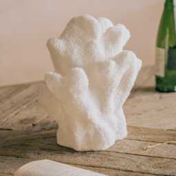 Graham and Green Elkhorn Coral Table Lamp - thumbnail 2