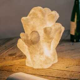 Graham and Green Elkhorn Coral Table Lamp - thumbnail 1