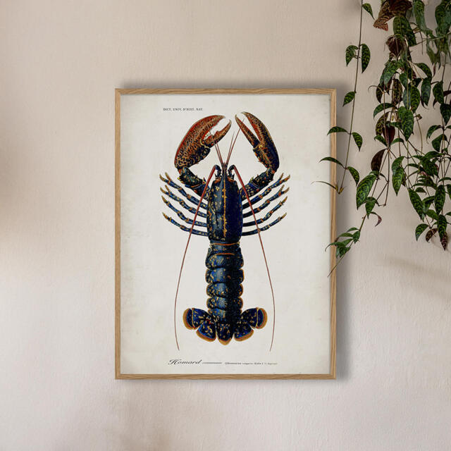 Graham and Green Oak Framed Lobster Print - 50 x 70cm - image 1
