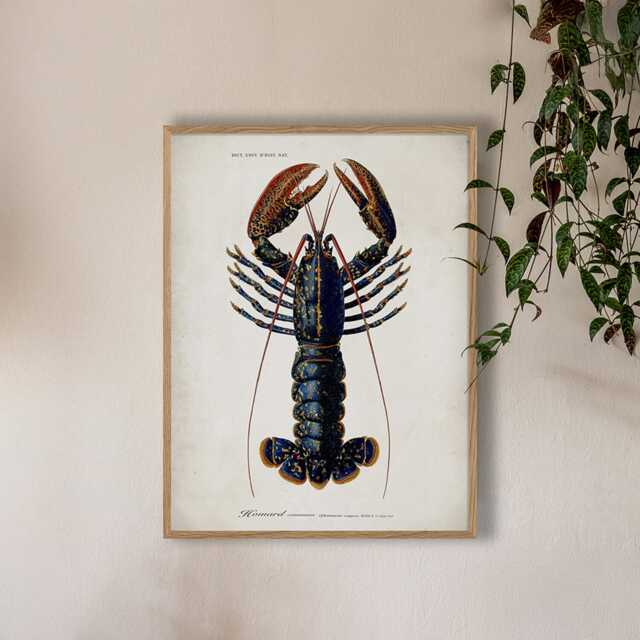 Graham and Green Oak Framed Lobster Print - 70 x 100cm - image 1
