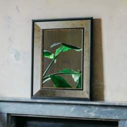 Graham and Green Phillipe Small Antiqued Mirror - thumbnail 4