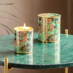 Graham and Green Fico D'India Decorated Candle - thumbnail 2