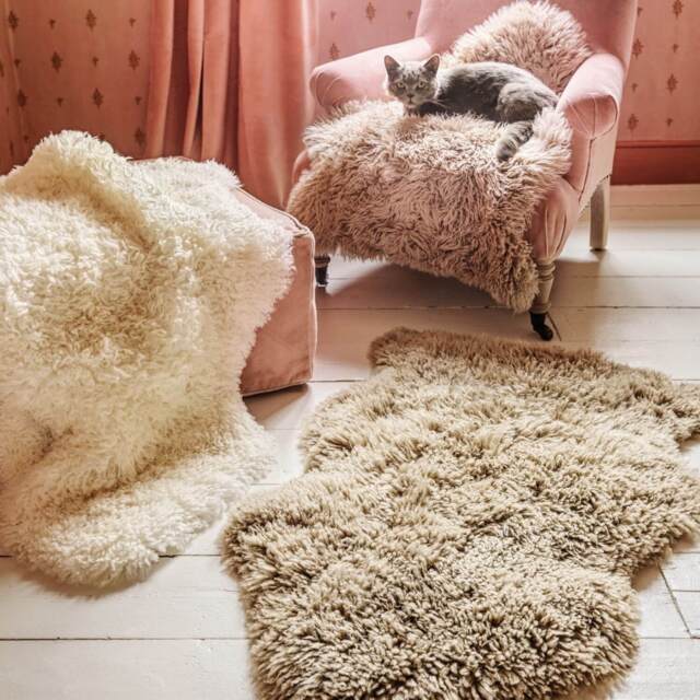 Graham and Green Off White Long Curly Single Sheepskin - image 1
