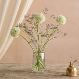 Graham and Green Recycled Clear Glass Tulip Vase - thumbnail 1