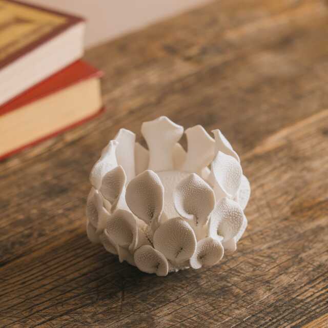 Graham and Green Petal Coral Tealight Holder - image 1