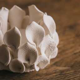 Graham and Green Petal Coral Tealight Holder - thumbnail 4