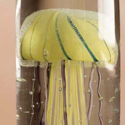 Graham and Green Tall Glass Tiger Jellyfish Paperweight - thumbnail 2