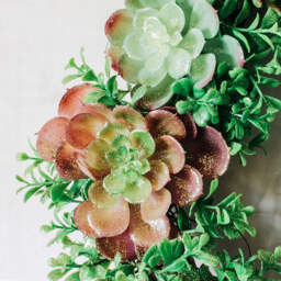 Graham and Green Glittered Succulent Wreath - thumbnail 2