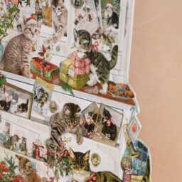 Graham and Green Mischievous Cats Advent Calendar - thumbnail 2