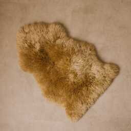 Graham and Green Butterscotch Single Sheepskin