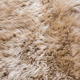 Graham and Green Butterscotch Single Sheepskin - thumbnail 5