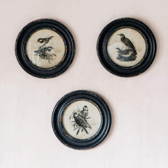 Graham and Green Great Tit Round Framed Print - image 1