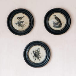 Graham and Green Great Tit Round Framed Print - thumbnail 1