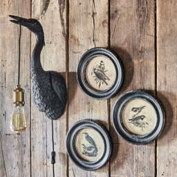 Graham and Green Great Tit Round Framed Print - thumbnail 2