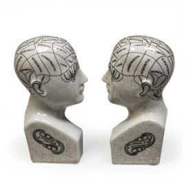 Graham and Green Antiqued Phrenology Head Bookends