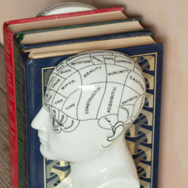 Graham and Green Antiqued Phrenology Head Bookends - thumbnail 3