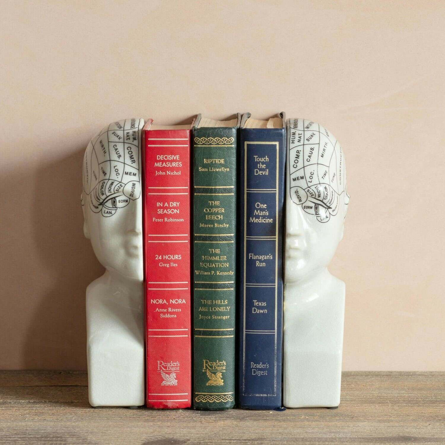 Antiqued Phrenology Head Bookends - image 1