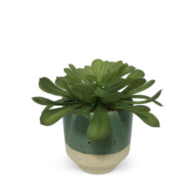 Habitat Artificial Faux Succulent in Ceramic Pot - Green