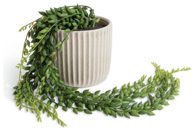 Habitat Artificial Green Succulent in Cream Ceramic Pot