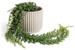 Habitat Artificial Green Succulent in Cream Ceramic Pot