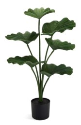 Habitat Artificial Green Licuala Palm Plant - 58cm