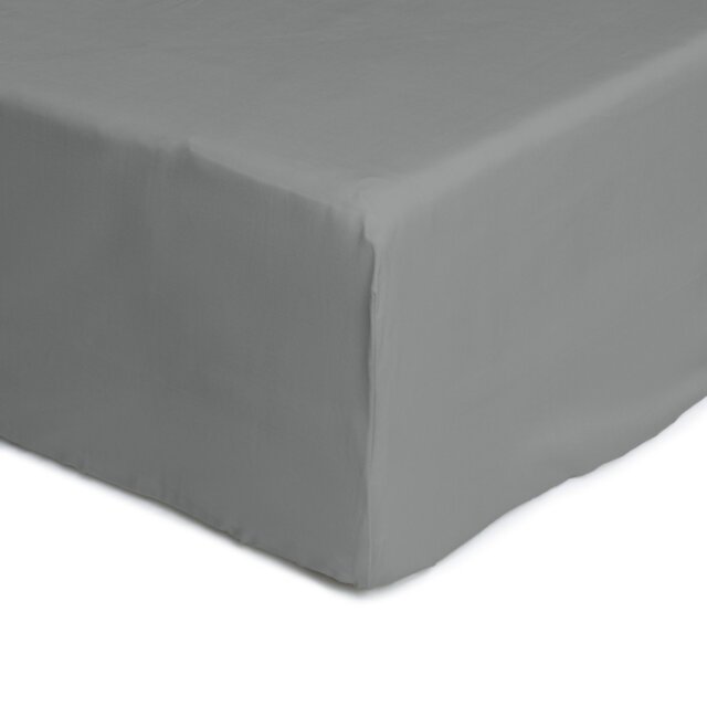 Habitat Anti-Microbial Cotton Dove Grey Fitted Sheet -Single