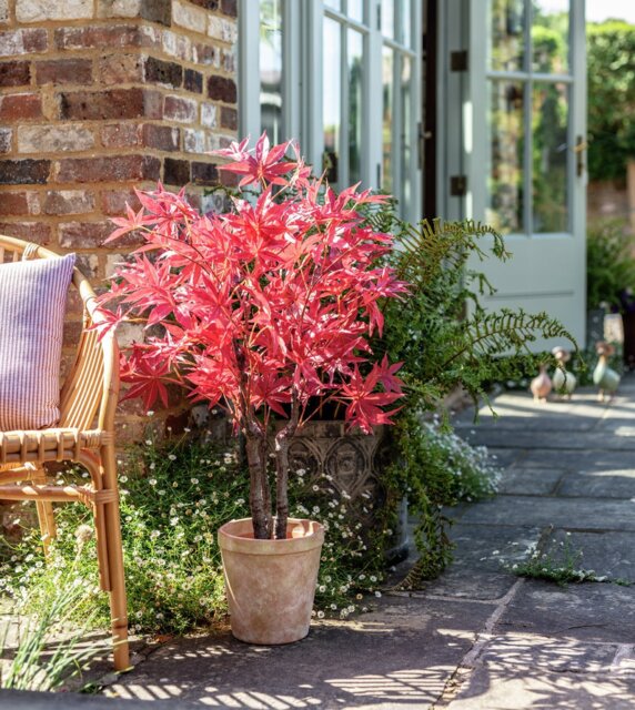 Garden by Sainsbury's Artificial Acer Tree