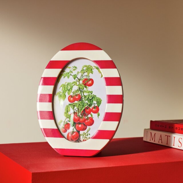 """Habitat Striped Oval Red Resin Picture Frame - 4x6"""""""