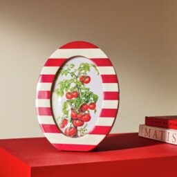 """Habitat Striped Oval Red Resin Picture Frame - 4x6"""""""