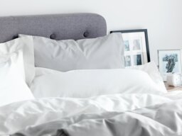 Habitat Pure Cotton 200TC Standard Pillowcase Pair - White