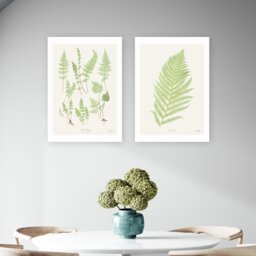 East End Prints Botan Vintage Art Print - A3