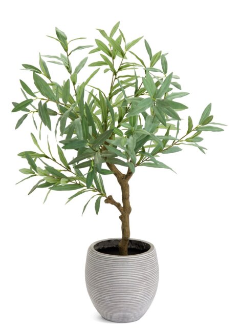 Habitat Artificial Green Olive Tree in White Resin Pot