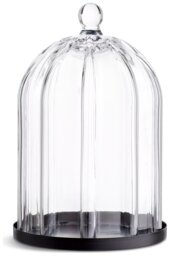 Habitat Ribbed Glass Cloche - Clear