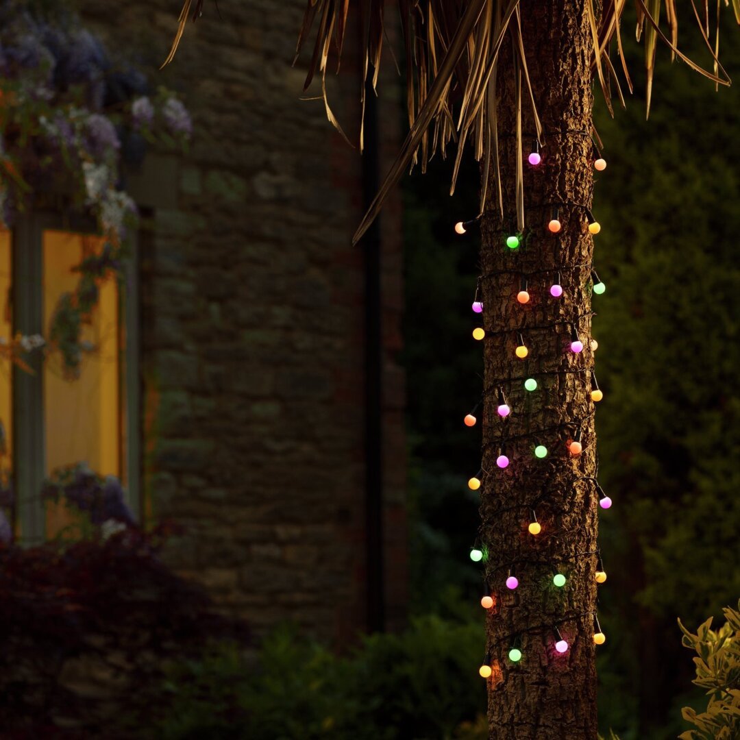 Garden by Sainsbury's 50 Berry Solar String Lights by Habitat | ufurnish.com, image size:1080x1080