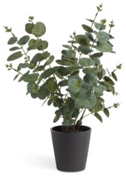 Habitat Artificial Green Eucalyptus in Matte Black Plant Pot