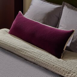 Habitat Cotton Lumbar Cushion Velvet - 30x80cm