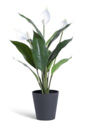 Habitat Artificial White Large Peace Lily Plant - 51cm