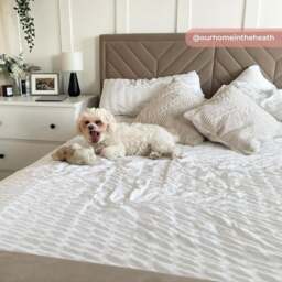Sherlock - King Size - Side-Opening Ottoman Storage Electric TV Bed - Warm Stone - Velvet - 5ft - Happy Beds - thumbnail 5