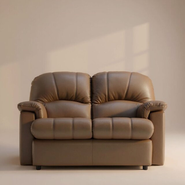 Chloe Small 2 Seater Sofa in Leather - Grade H
