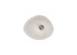 a-emotional light Onn Ceiling Surface Light Small White - thumbnail 1