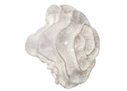 a-emotional light Nevo Wall Lamp Large